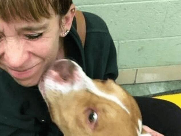 主人将狗狗当垃圾扔掉，只因新家没有多余的地方给它住，太狠心休闲区蓝鸢梦想 - Www.slyday.coM