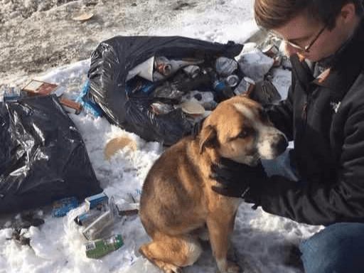 主人将狗狗当垃圾扔掉，只因新家没有多余的地方给它住，太狠心休闲区蓝鸢梦想 - Www.slyday.coM