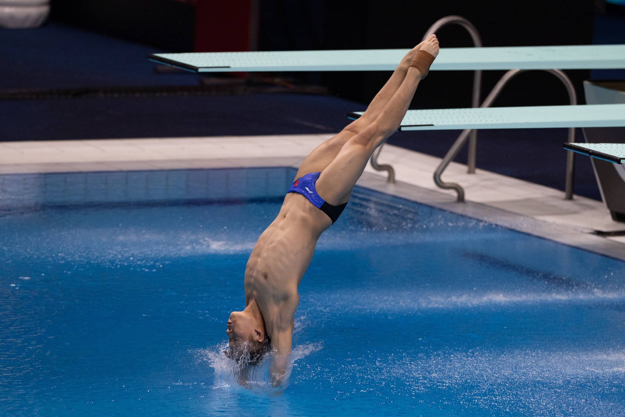 中国著名跳水运动员男图片