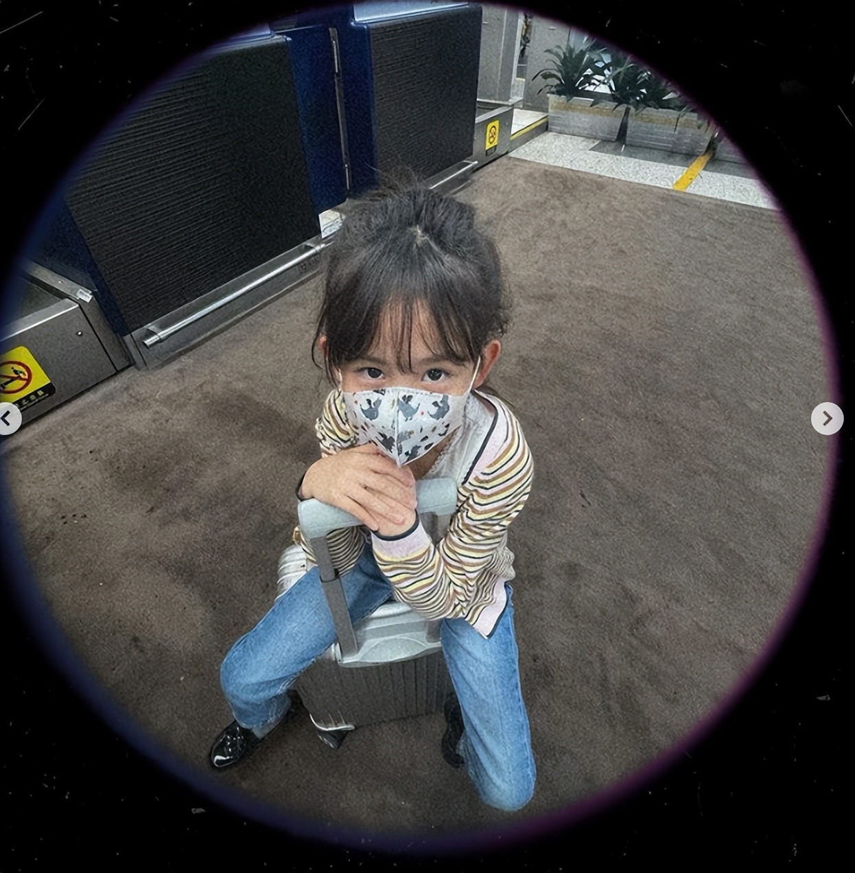 黄磊三个儿女罕见同框多多带着弟弟妹妹画画和睦温馨超有爱