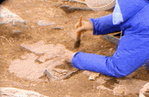 ▲图/受访者提供