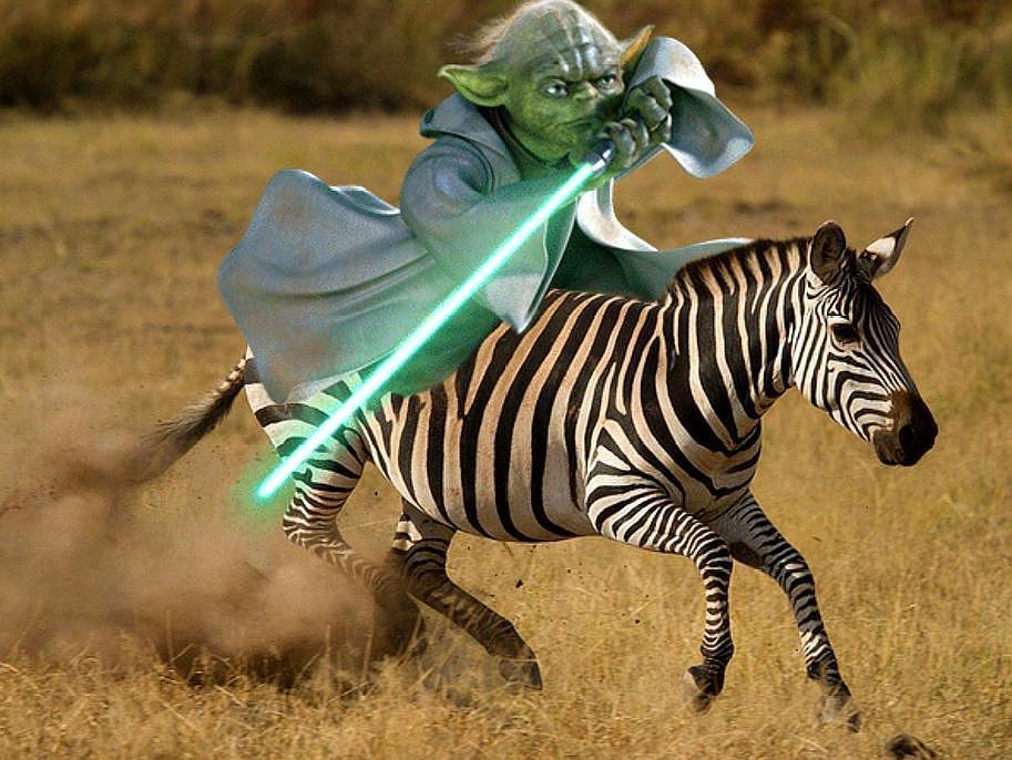 斑马能当战马吗为何没有哪个国家用斑马骑兵的