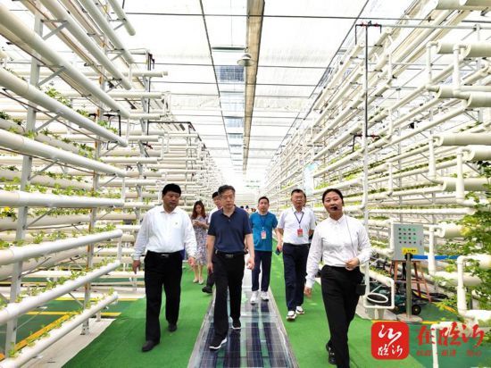 风从海上来 路在脚下行——长三角主流媒体眼中的临沂是如何炼成的休闲区蓝鸢梦想 - Www.slyday.coM