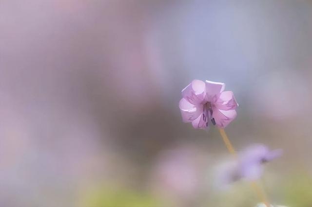 提醒丧偶的老年人，不管多难过，都别做这三件事
