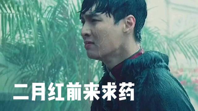 九敏,不管过了多少年,二月红前来求药真的看一次哭一次好吗?