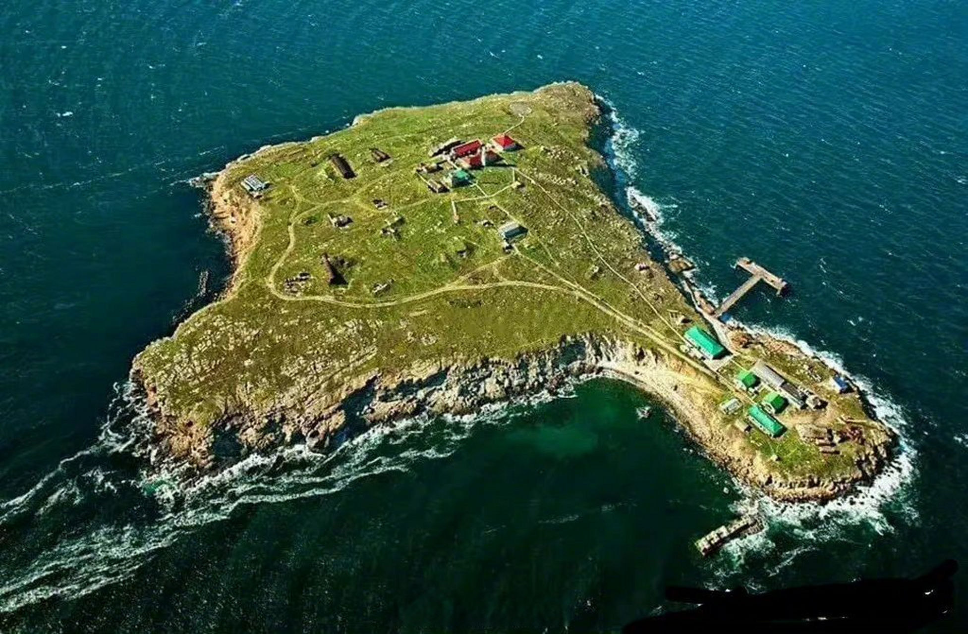 谁占领谁吃亏俄军主动放弃蛇岛但乌克兰也不敢再轻易登岛