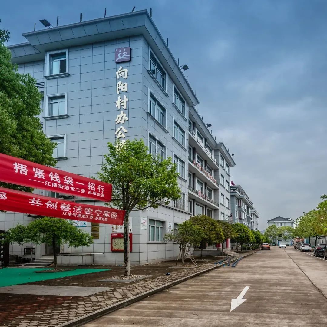 有生活 | 秀美乡村之江南街道向阳村