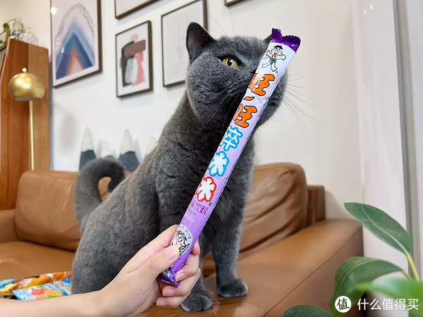 雪糕刺客退，退，退！不超4元，20款好吃不贵的平价雪糕，一起实现雪糕自由！休闲区蓝鸢梦想 - Www.slyday.coM