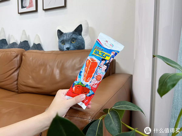 雪糕刺客退，退，退！不超4元，20款好吃不贵的平价雪糕，一起实现雪糕自由！休闲区蓝鸢梦想 - Www.slyday.coM