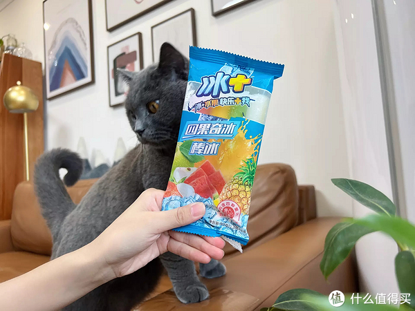 雪糕刺客退，退，退！不超4元，20款好吃不贵的平价雪糕，一起实现雪糕自由！休闲区蓝鸢梦想 - Www.slyday.coM