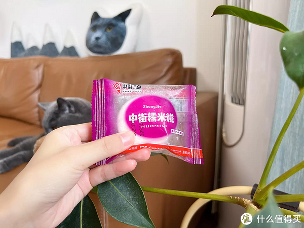 雪糕刺客退，退，退！不超4元，20款好吃不贵的平价雪糕，一起实现雪糕自由！休闲区蓝鸢梦想 - Www.slyday.coM