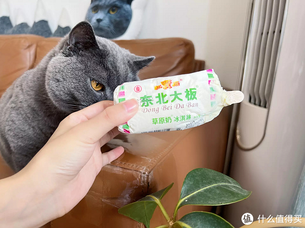 雪糕刺客退，退，退！不超4元，20款好吃不贵的平价雪糕，一起实现雪糕自由！休闲区蓝鸢梦想 - Www.slyday.coM