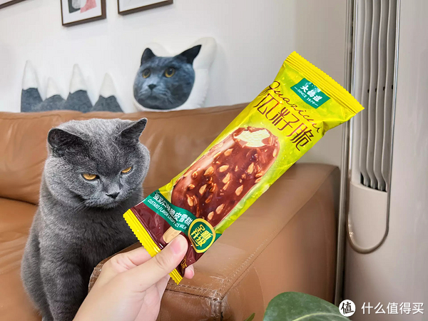 雪糕刺客退，退，退！不超4元，20款好吃不贵的平价雪糕，一起实现雪糕自由！休闲区蓝鸢梦想 - Www.slyday.coM