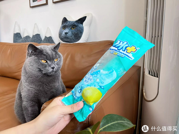 雪糕刺客退，退，退！不超4元，20款好吃不贵的平价雪糕，一起实现雪糕自由！休闲区蓝鸢梦想 - Www.slyday.coM