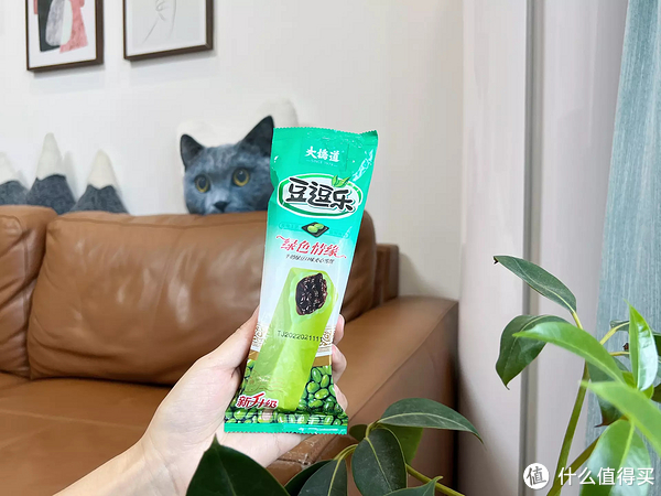 雪糕刺客退，退，退！不超4元，20款好吃不贵的平价雪糕，一起实现雪糕自由！休闲区蓝鸢梦想 - Www.slyday.coM