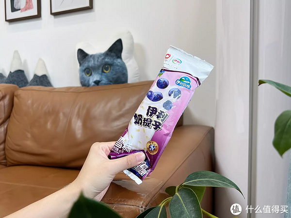 雪糕刺客退，退，退！不超4元，20款好吃不贵的平价雪糕，一起实现雪糕自由！休闲区蓝鸢梦想 - Www.slyday.coM