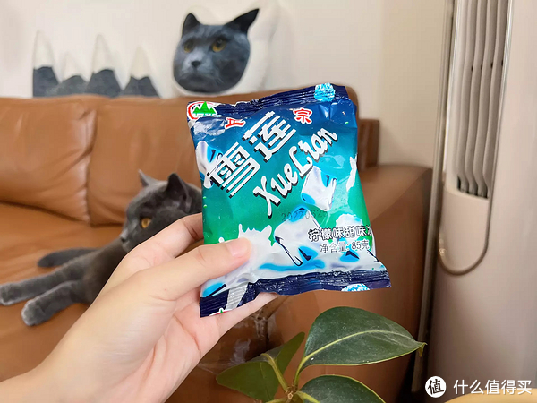 雪糕刺客退，退，退！不超4元，20款好吃不贵的平价雪糕，一起实现雪糕自由！休闲区蓝鸢梦想 - Www.slyday.coM