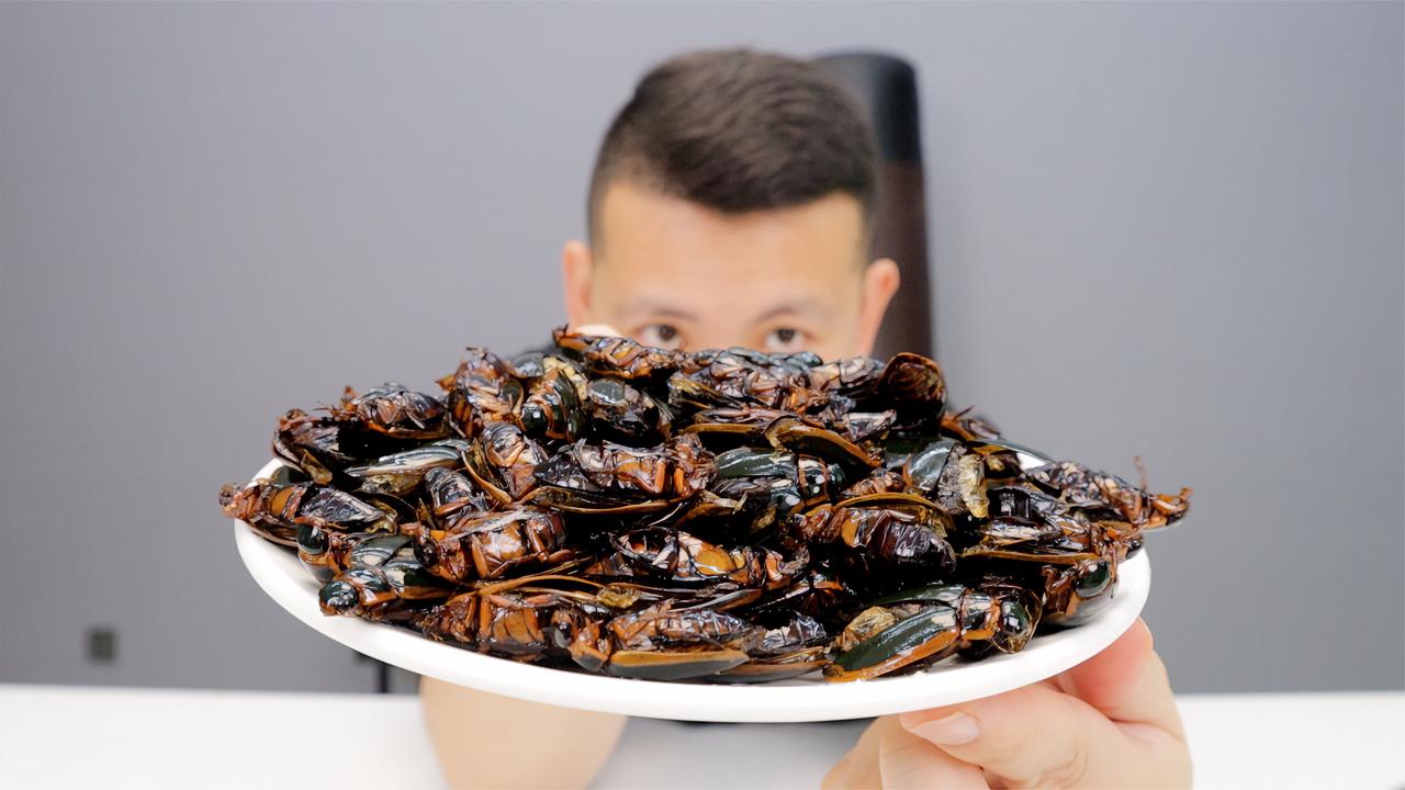 山东小伙伴推荐的龙虱长得像臭大姐还臭臭的油炸一下尝味道