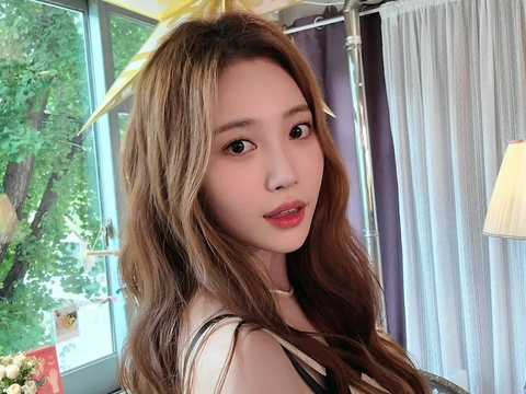 陆羽茶交所遭多地方警示：打着国资背景搞传销非