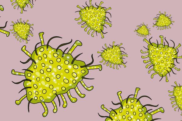 研究全新发现：母乳中有“超级抗体”，助新生儿对抗李斯特菌休闲区蓝鸢梦想 - Www.slyday.coM