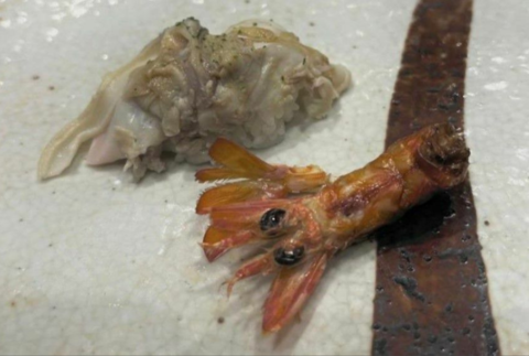 韩国女子在日本寿司店遭歧视：被发现是外国人后 菜品质量突变休闲区蓝鸢梦想 - Www.slyday.coM