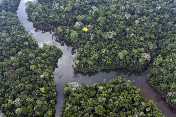 在巴西朗多尼亚州首府波多韦柳，河流穿过亚马孙雨林。新华社/美联社