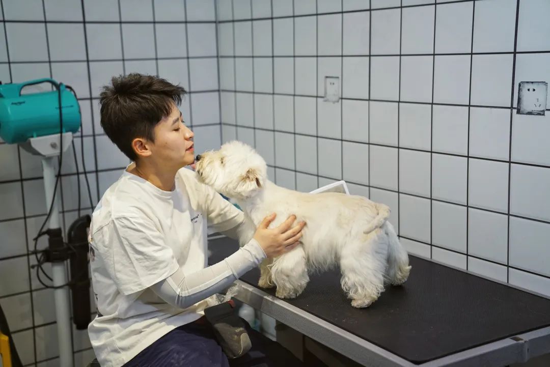 ▲4月17日，天通苑一家犬行为训练中心，大佟给一只小狗检查身体。
