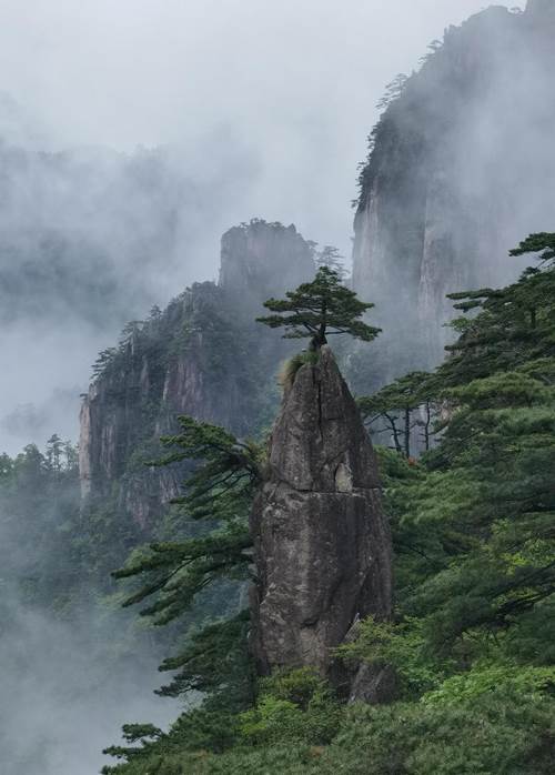 黄山"梦笔生花""连理松"数字藏品全网首发__财经头条