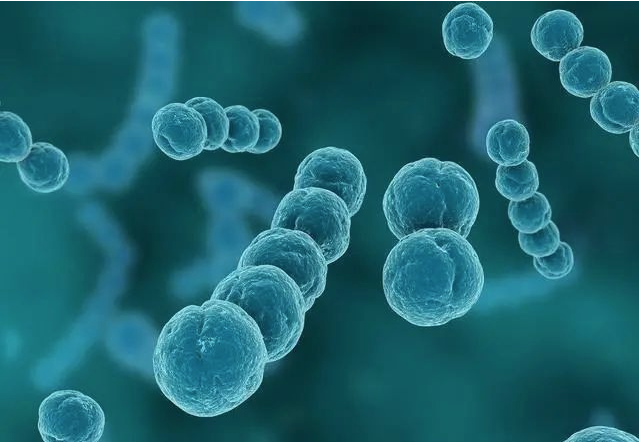 可见,需要借助光学显微镜或者电子显微镜才能看见的微小生物的总称