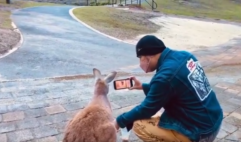 群星为周杰伦新歌打call,但周董只回复了4个人,其中包括张艺兴休闲区蓝鸢梦想 - Www.slyday.coM 群星为周杰伦新歌打call,但周董只回复了4个人,其中包括张艺兴休闲区蓝鸢梦想 - Www.slyday.coM