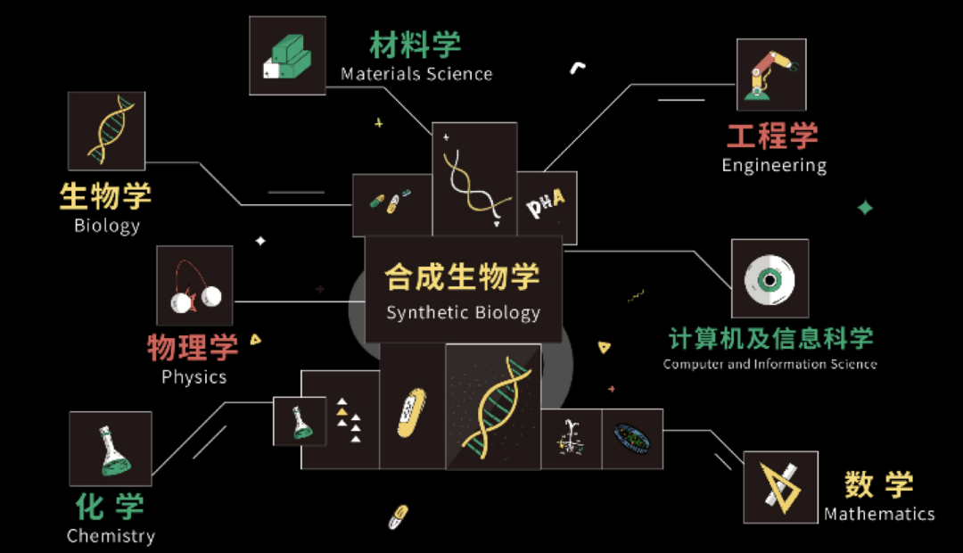 火热比拼盛夏来袭合成生物学竞赛创新赛一触即发