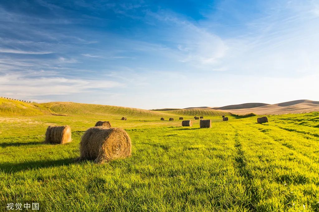 美国农田资料图.图源:视觉中国