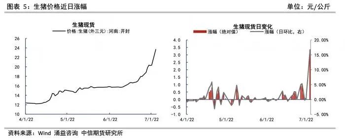 近期猪价涨幅明显。中信期货/制图