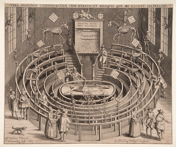 描繪德國萊頓大學解剖劇院的蝕刻版畫，1610年​​​​
