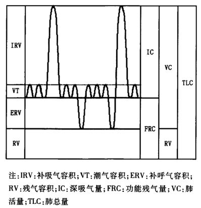 胸椎损伤导致部分肋间肌麻痹的患者,进行呼吸功能锻炼时如何选择合适的腹式呼吸辅助工具?