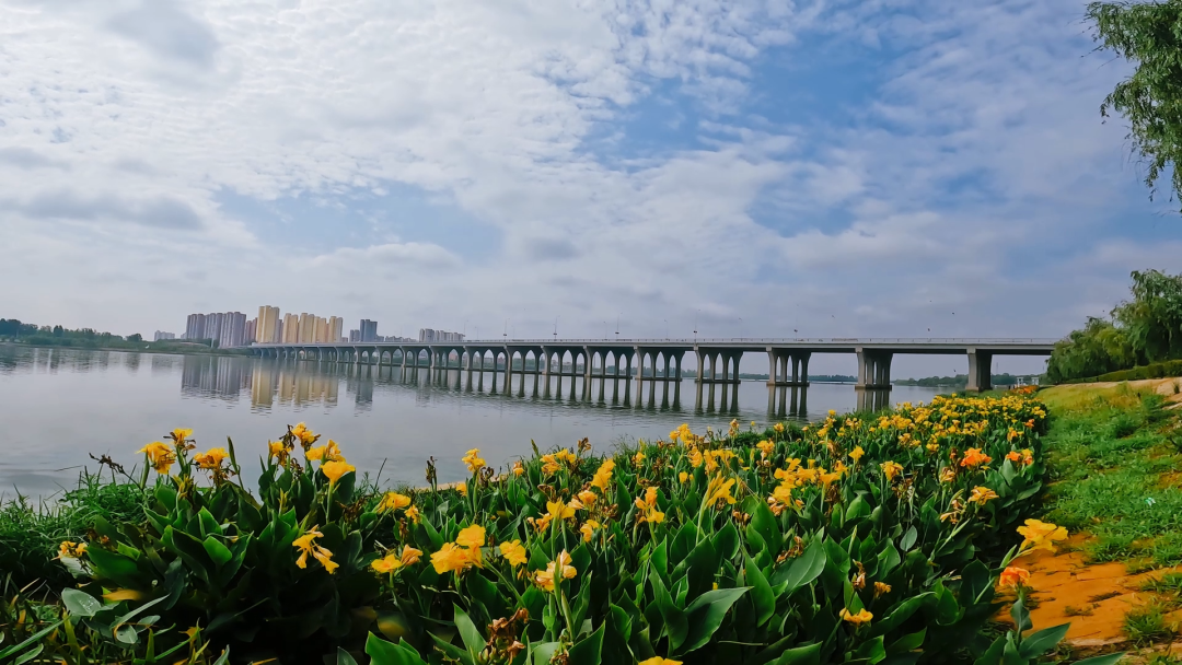 新淯阳桥试通车,南阳城区白河之上七座大桥横跨两岸