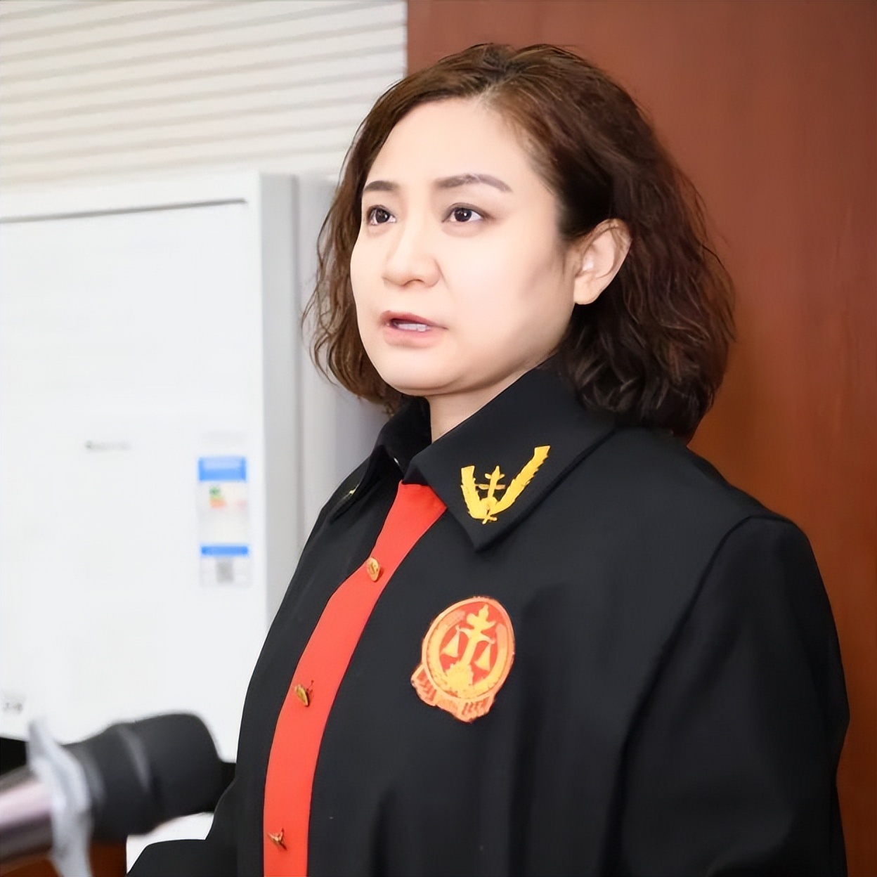 咸阳中院张丽艳不忘军人使命做好人民法官