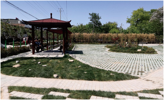 乡村振兴看中张丨临空新城 魅力中张|张镇|乡村振兴_新浪新闻