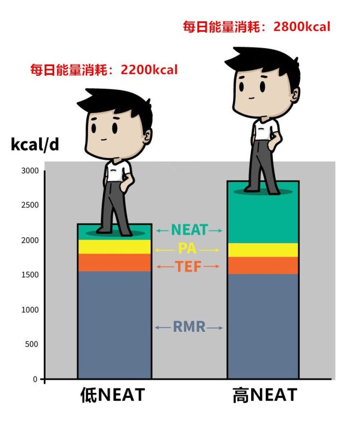 为什么吃得很少了，还是瘦不下来？是基础代谢低还是另有原因？休闲区蓝鸢梦想 - Www.slyday.coM