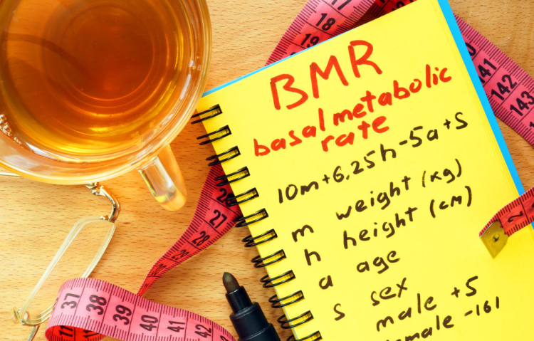 为什么吃得很少了，还是瘦不下来？是基础代谢低还是另有原因？休闲区蓝鸢梦想 - Www.slyday.coM