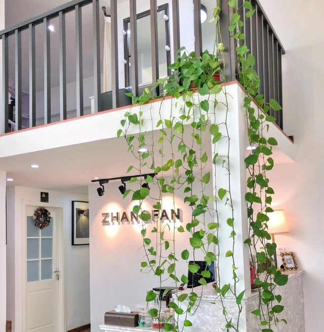 5种“养不死”的花,绿萝只能排最后,养死2种的趁早放弃吧休闲区蓝鸢梦想 - Www.slyday.coM 5种“养不死”的花,绿萝只能排最后,养死2种的趁早放弃吧休闲区蓝鸢梦想 - Www.slyday.coM