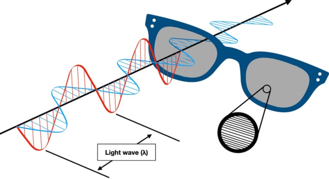偏光太阳镜堪称应对炫目的利器,它由两个偏振片组成,偏振片的塑片通过
