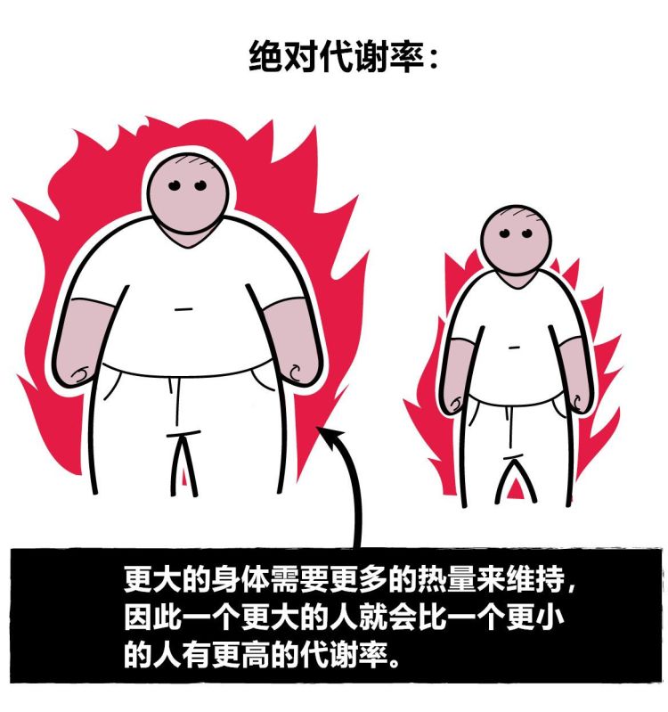 为什么吃得很少了，还是瘦不下来？是基础代谢低还是另有原因？休闲区蓝鸢梦想 - Www.slyday.coM