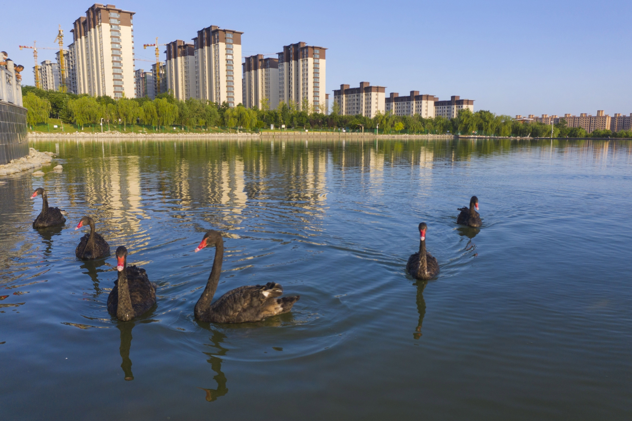 陕西合阳城在林中坐人在绿中行