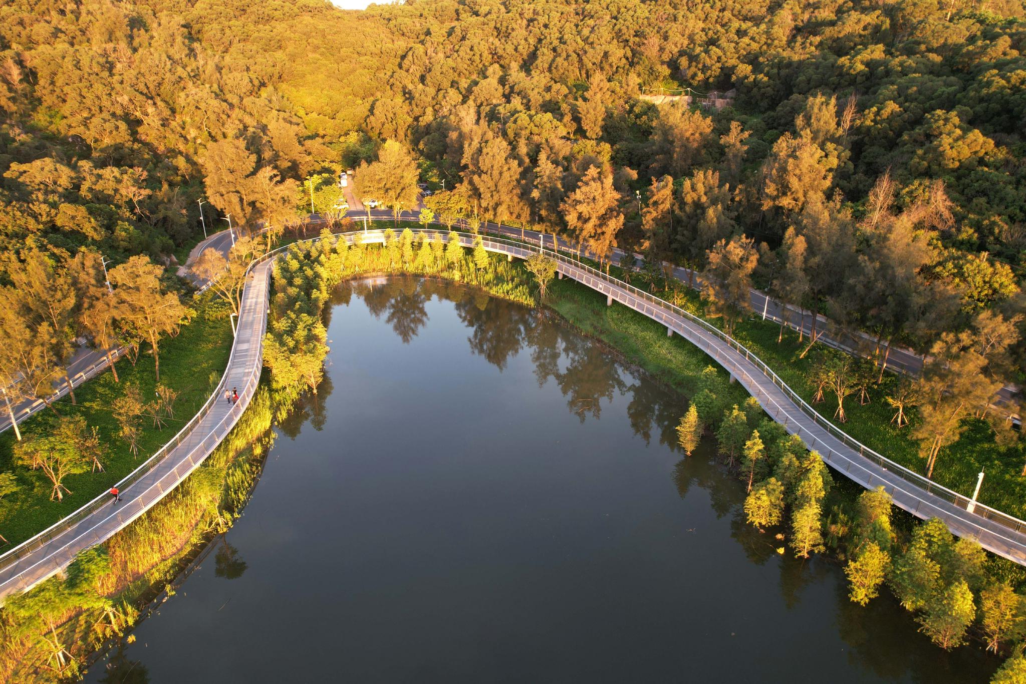 7月9日,游客在厦门山海健康步道云海线园山段休闲漫步.