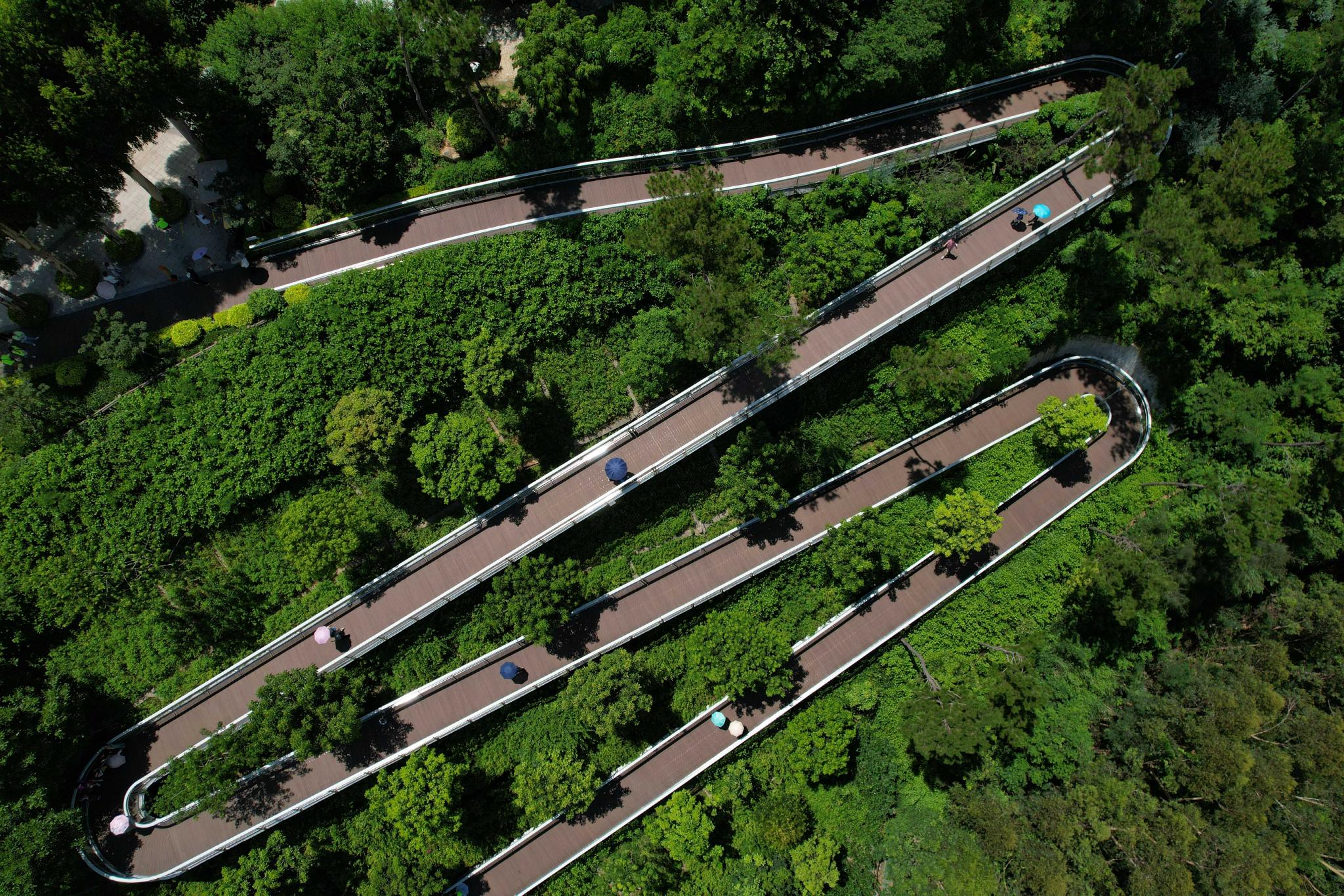 厦门健康步道林海线图片