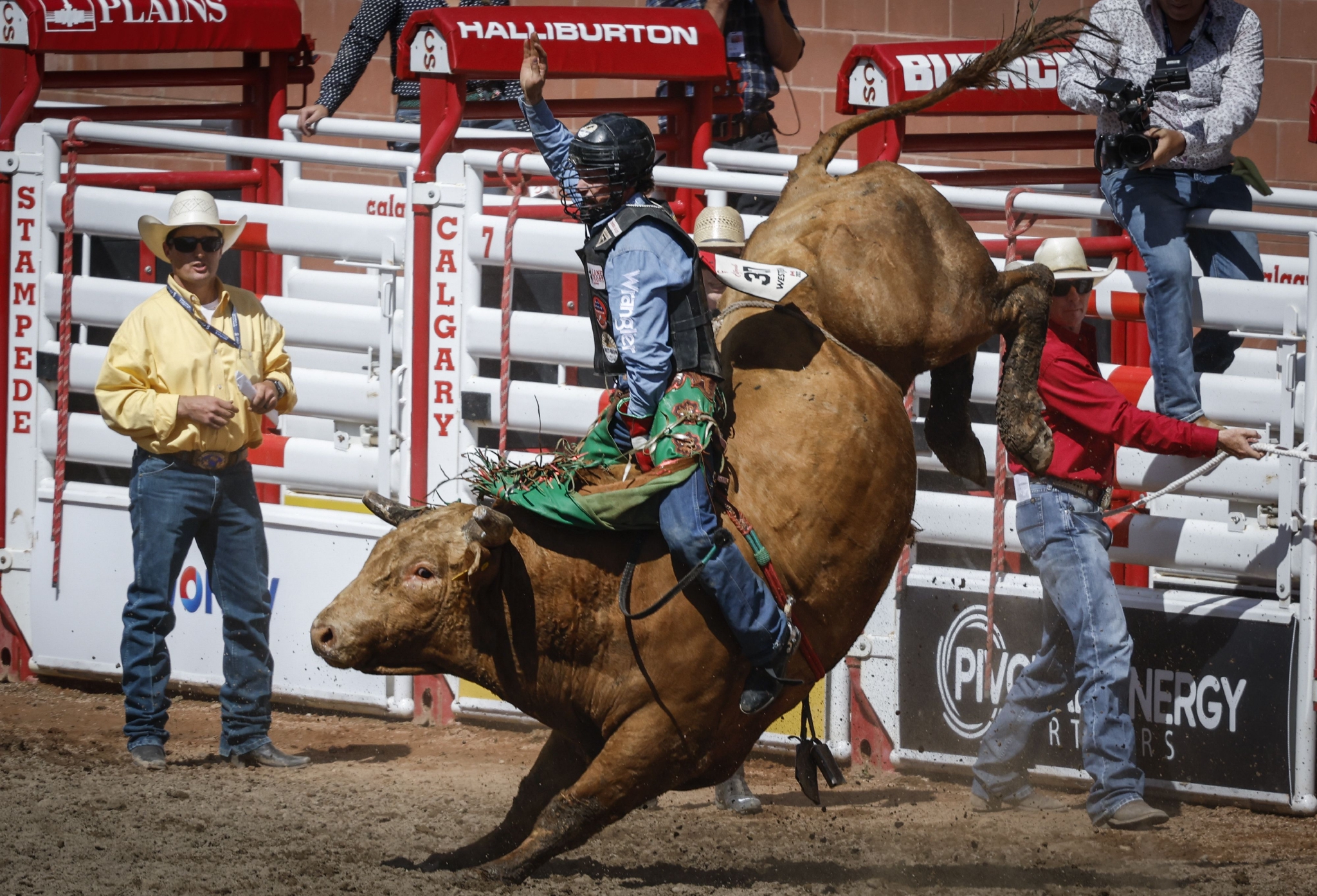 加拿大卡尔加里牛仔节开幕|加拿大|马术_新浪新闻