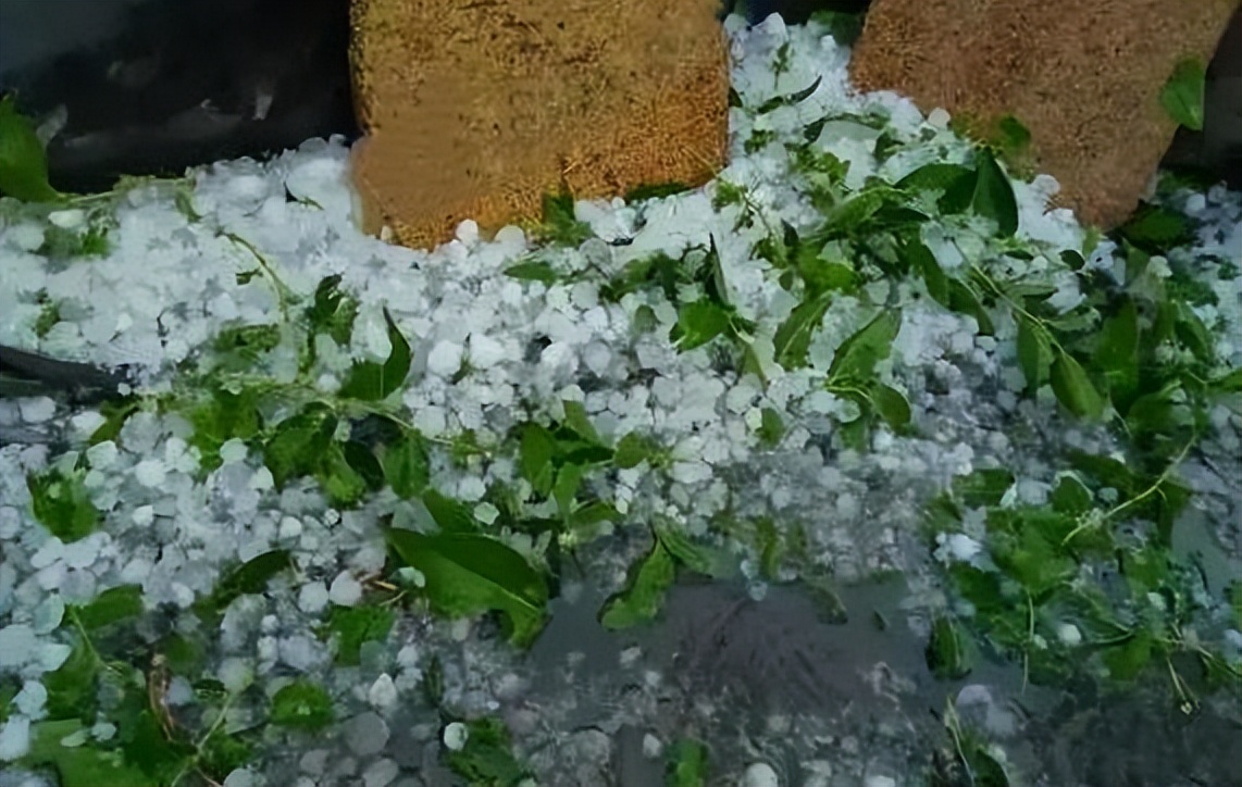 比陕西洛南的冰雹更大山西寿阳降下巨量冰雹地面上积雹30厘米