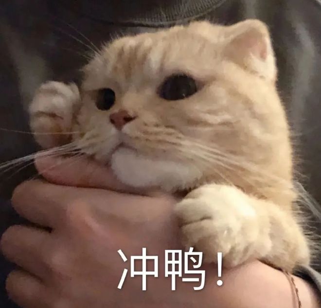 初代人间芭比退圈狂涨55斤！再度暴瘦后要美成丰腴版Lisa？！休闲区蓝鸢梦想 - Www.slyday.coM
