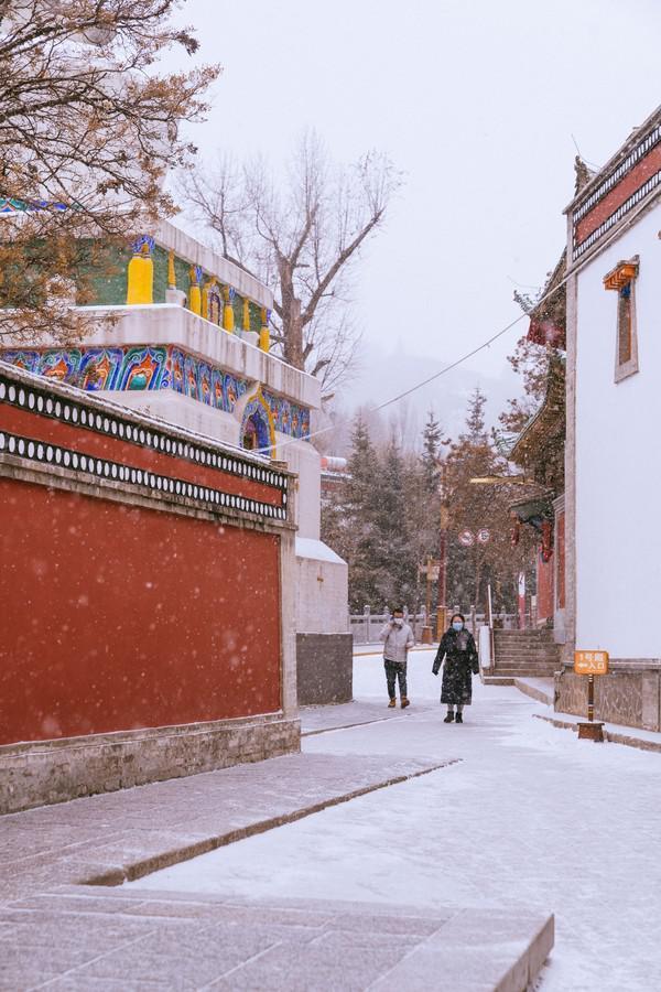 从此我不稀罕下雪了:雪中的塔尔寺,比故宫美了多少倍!__财经头条